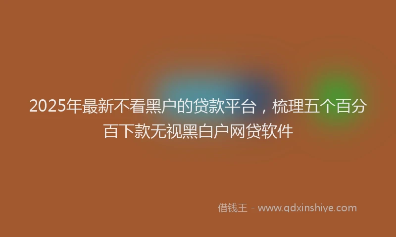 2025年最新不看黑户的贷款平台，梳理五个百分百下款无视黑白户网贷软件
