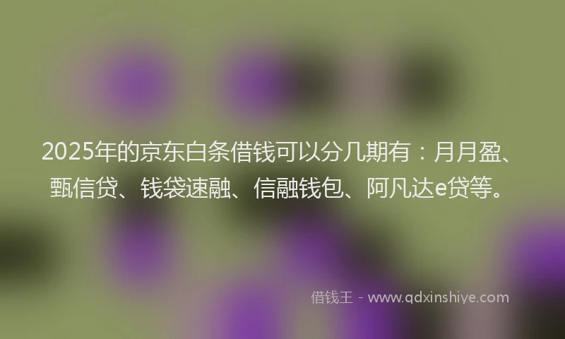 2025年的京东白条借钱可以分几期有：月月盈、甄信贷、钱袋速融、信融钱包、阿凡达e贷等。