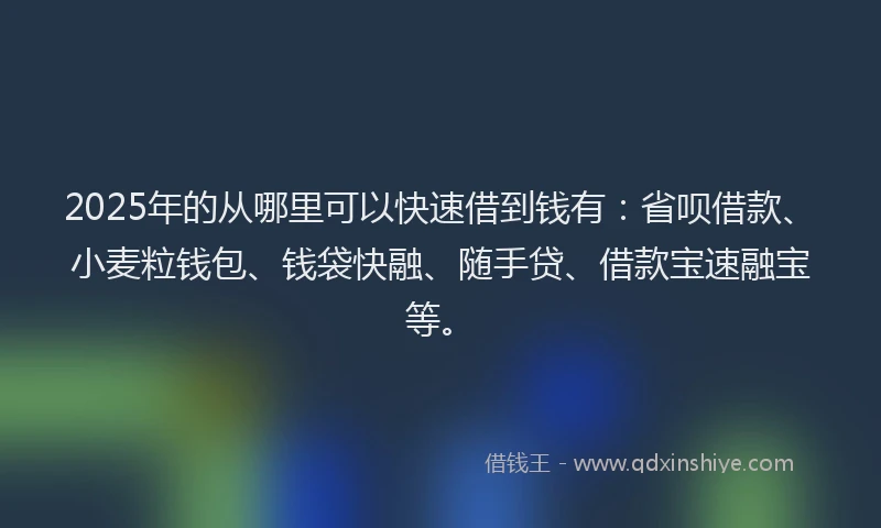 2025年的从哪里可以快速借到钱有：省呗借款、小麦粒钱包、钱袋快融、随手贷、借款宝速融宝等。