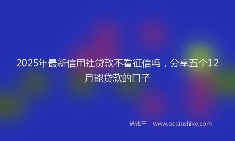 2025年最新信用社贷款不看征信吗，分享五个12月能贷款的口子