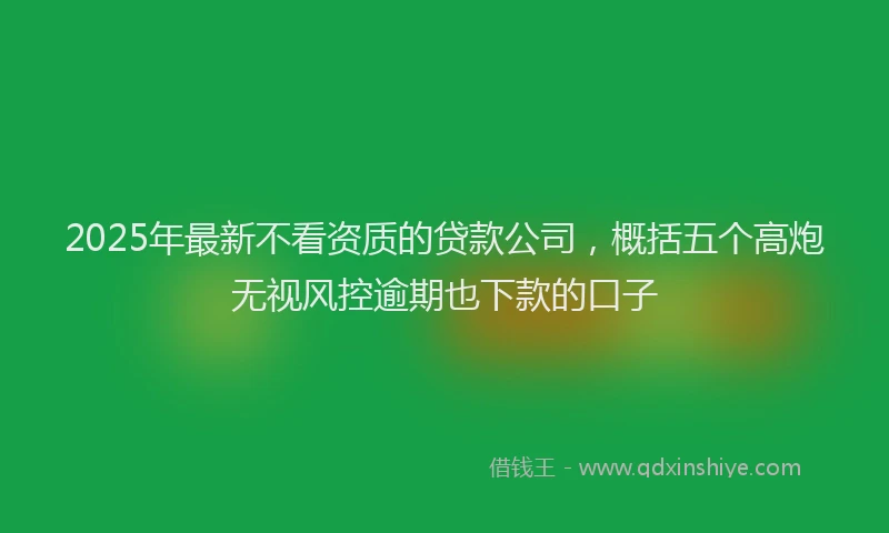 2025年最新不看资质的贷款公司，概括五个高炮无视风控逾期也下款的口子