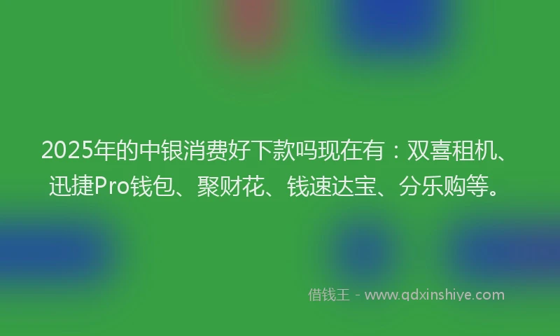 2025年的中银消费好下款吗现在有：双喜租机、迅捷Pro钱包、聚财花、钱速达宝、分乐购等。
