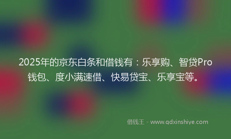 2025年的京东白条和借钱有：乐享购、智贷Pro钱包、度小满速借、快易贷宝、乐享宝等。