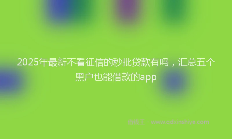 2025年最新不看征信的秒批贷款有吗，汇总五个黑户也能借款的app