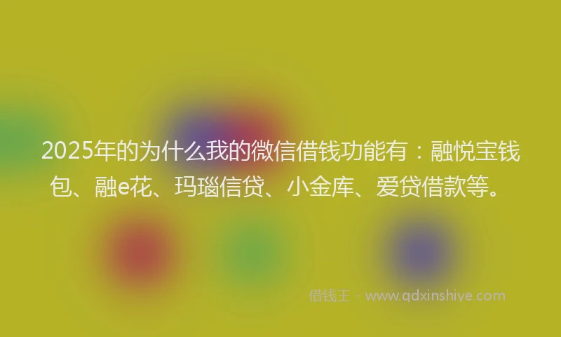 2025年的为什么我的微信借钱功能有：融悦宝钱包、融e花、玛瑙信贷、小金库、爱贷借款等。