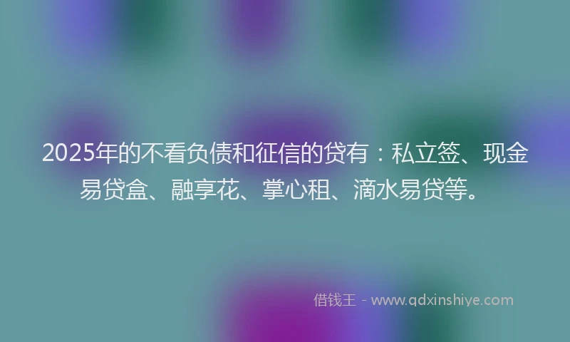 2025年的不看负债和征信的贷有：私立签、现金易贷盒、融享花、掌心租、滴水易贷等。