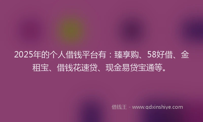 2025年的个人借钱平台有：臻享购、58好借、金租宝、借钱花速贷、现金易贷宝通等。
