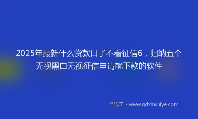 2025年最新什么贷款口子不看征信6，归纳五个无视黑白无视征信申请就下款的软件