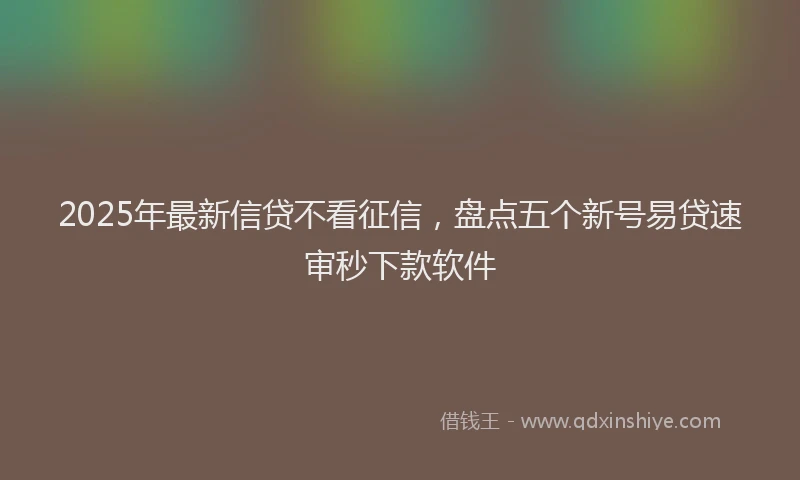 2025年最新信贷不看征信，盘点五个新号易贷速审秒下款软件