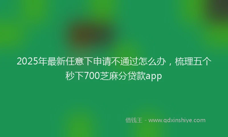 2025年最新任意下申请不通过怎么办，梳理五个秒下700芝麻分贷款app