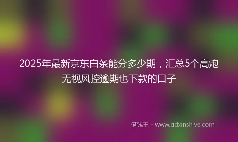 2025年最新京东白条能分多少期，汇总5个高炮无视风控逾期也下款的口子