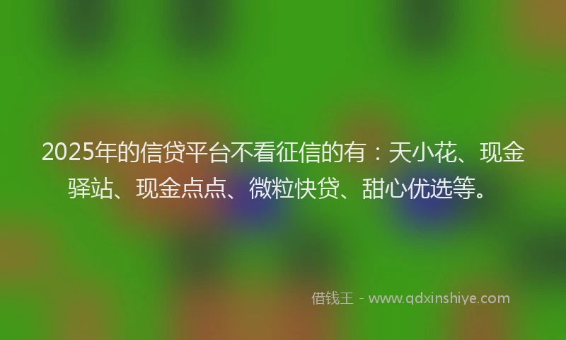2025年的信贷平台不看征信的有：天小花、现金驿站、现金点点、微粒快贷、甜心优选等。