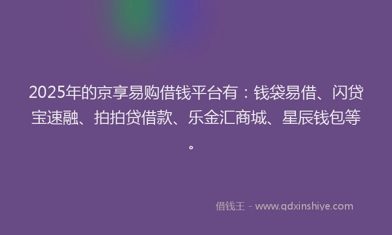 2025年的京享易购借钱平台有：钱袋易借、闪贷宝速融、拍拍贷借款、乐金汇商城、星辰钱包等。