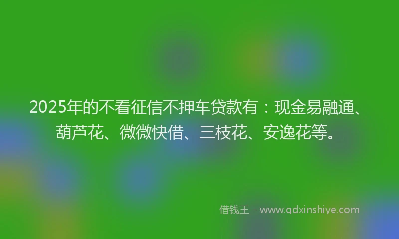 2025年的不看征信不押车贷款有：现金易融通、葫芦花、微微快借、三枝花、安逸花等。