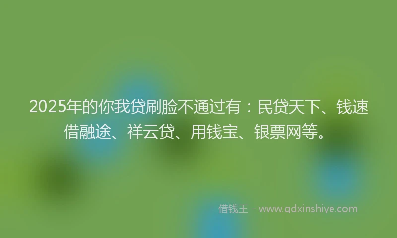 2025年的你我贷刷脸不通过有：民贷天下、钱速借融途、祥云贷、用钱宝、银票网等。