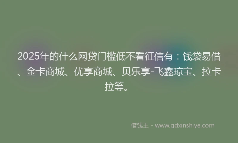 2025年的什么网贷门槛低不看征信有：钱袋易借、金卡商城、优享商城、贝乐享-飞鑫琼宝、拉卡拉等。
