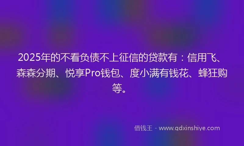 2025年的不看负债不上征信的贷款有：信用飞、森森分期、悦享Pro钱包、度小满有钱花、蜂狂购等。