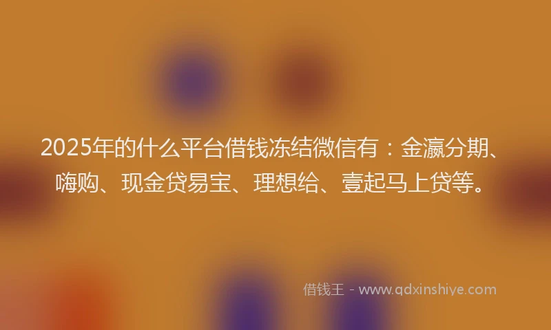 2025年的什么平台借钱冻结微信有：金瀛分期、嗨购、现金贷易宝、理想给、壹起马上贷等。