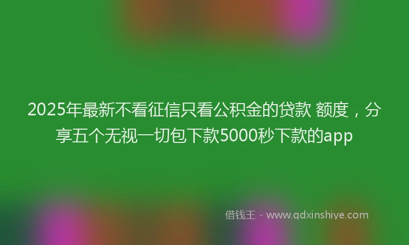 2025年最新不看征信只看公积金的贷款 额度，分享五个无视一切包下款5000秒下款的app
