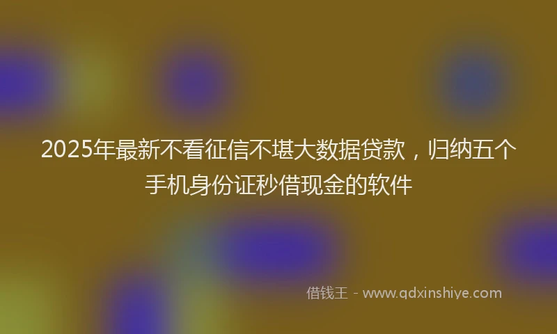 2025年最新不看征信不堪大数据贷款，归纳五个手机身份证秒借现金的软件