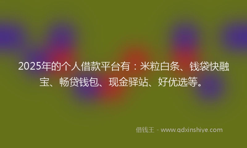 2025年的个人借款平台有：米粒白条、钱袋快融宝、畅贷钱包、现金驿站、好优选等。