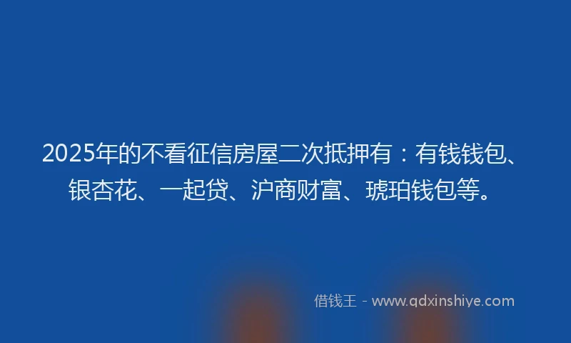 2025年的不看征信房屋二次抵押有：有钱钱包、银杏花、一起贷、沪商财富、琥珀钱包等。