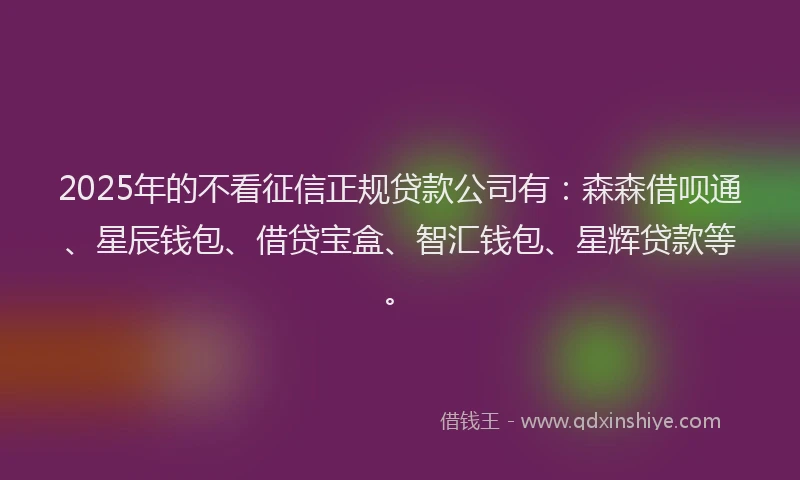 2025年的不看征信正规贷款公司有：森森借呗通、星辰钱包、借贷宝盒、智汇钱包、星辉贷款等。