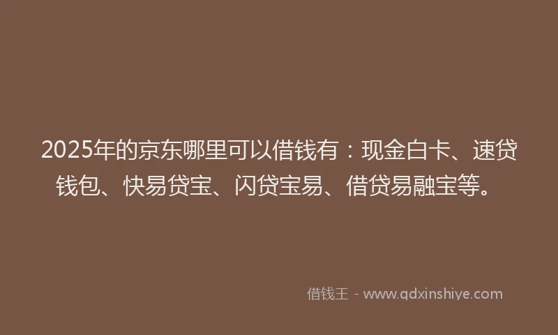2025年的京东哪里可以借钱有：现金白卡、速贷钱包、快易贷宝、闪贷宝易、借贷易融宝等。