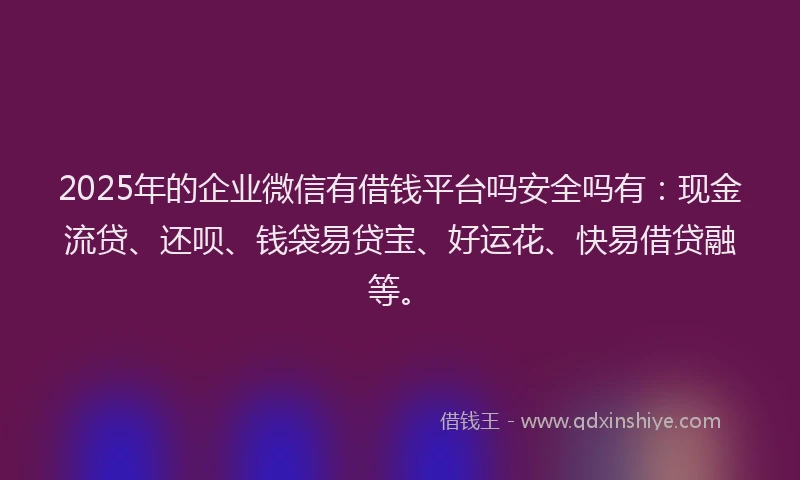 2025年的企业微信有借钱平台吗安全吗有：现金流贷、还呗、钱袋易贷宝、好运花、快易借贷融等。