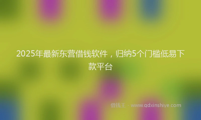 2025年最新东营借钱软件，归纳5个门槛低易下款平台