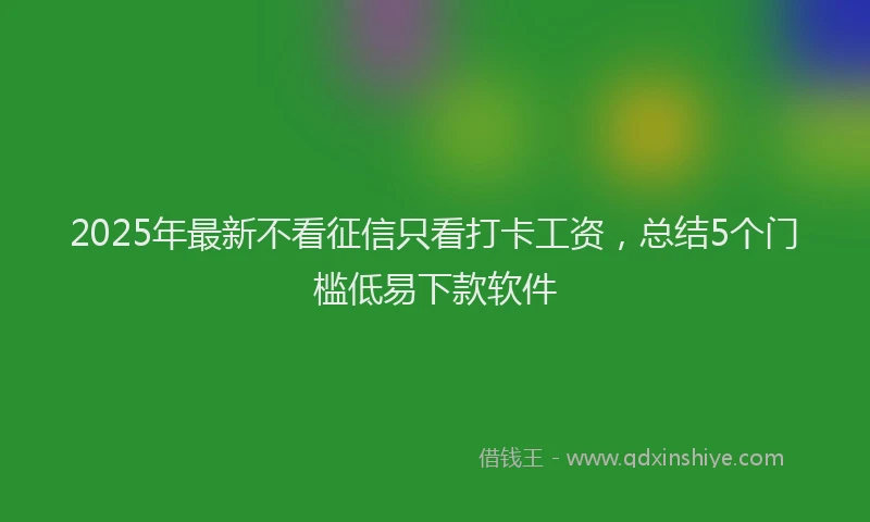 2025年最新不看征信只看打卡工资，总结5个门槛低易下款软件