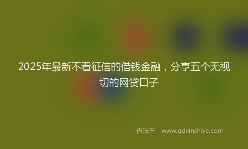 2025年最新不看征信的借钱金融，分享五个无视一切的网贷口子