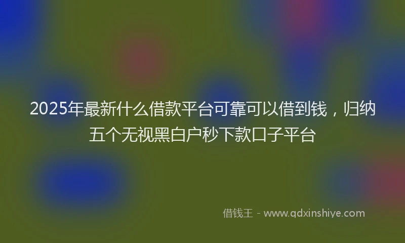 2025年最新什么借款平台可靠可以借到钱，归纳五个无视黑白户秒下款口子平台