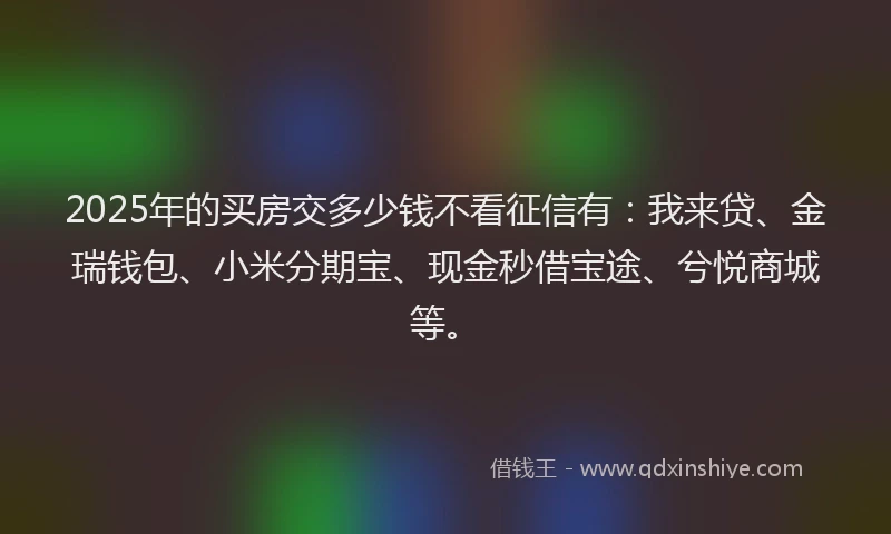 2025年的买房交多少钱不看征信有：我来贷、金瑞钱包、小米分期宝、现金秒借宝途、兮悦商城等。