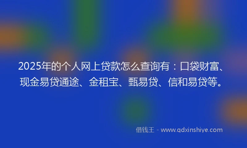 2025年的个人网上贷款怎么查询有：口袋财富、现金易贷通途、金租宝、甄易贷、信和易贷等。