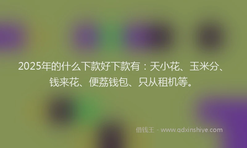 2025年的什么下款好下款有：天小花、玉米分、钱来花、便荔钱包、只从租机等。