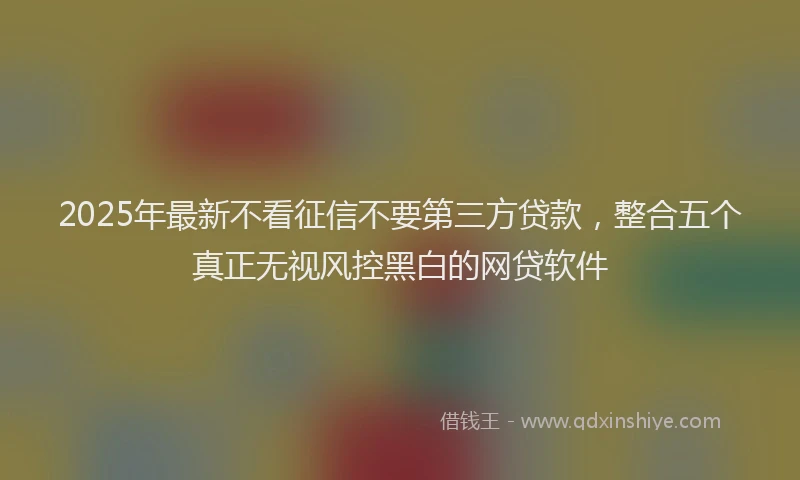 2025年最新不看征信不要第三方贷款，整合五个真正无视风控黑白的网贷软件