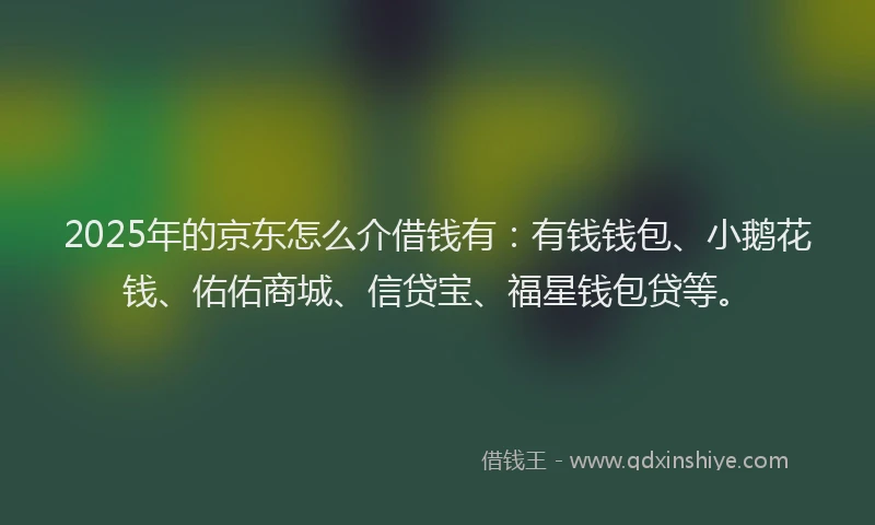 2025年的京东怎么介借钱有：有钱钱包、小鹅花钱、佑佑商城、信贷宝、福星钱包贷等。