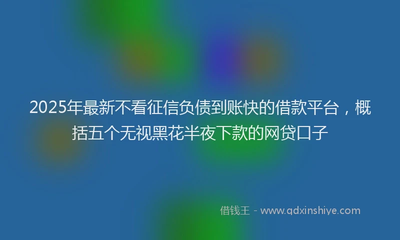 2025年最新不看征信负债到账快的借款平台，概括五个无视黑花半夜下款的网贷口子