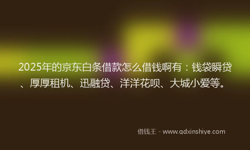 2025年的京东白条借款怎么借钱啊有：钱袋瞬贷、厚厚租机、迅融贷、洋洋花呗、大城小爱等。