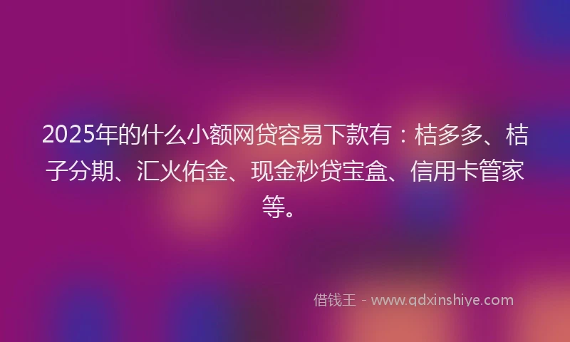 2025年的什么小额网贷容易下款有：桔多多、桔子分期、汇火佑金、现金秒贷宝盒、信用卡管家等。