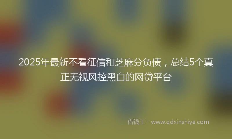 2025年最新不看征信和芝麻分负债，总结5个真正无视风控黑白的网贷平台