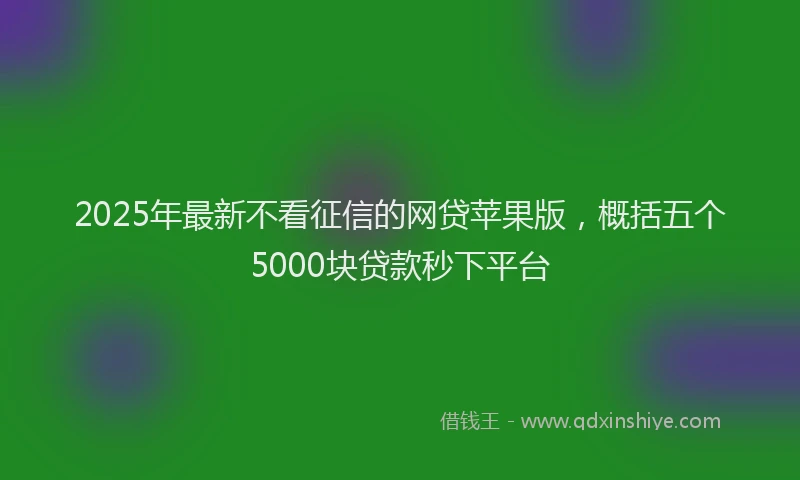 2025年最新不看征信的网贷苹果版，概括五个5000块贷款秒下平台