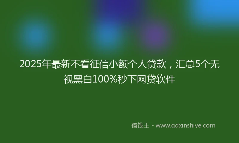 2025年最新不看征信小额个人贷款，汇总5个无视黑白100%秒下网贷软件