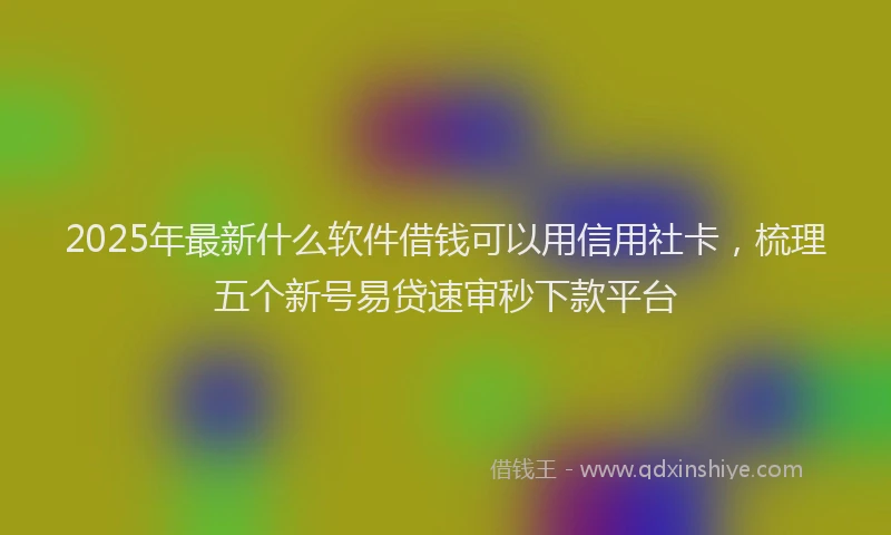 2025年最新什么软件借钱可以用信用社卡，梳理五个新号易贷速审秒下款平台