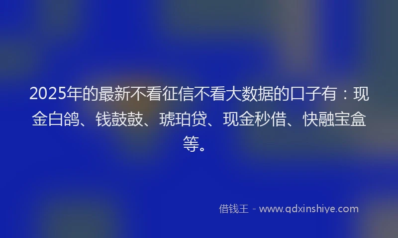 2025年的最新不看征信不看大数据的口子有：现金白鸽、钱鼓鼓、琥珀贷、现金秒借、快融宝盒等。