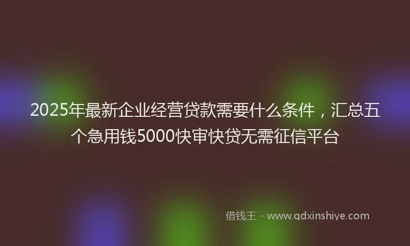 2025年最新企业经营贷款需要什么条件，汇总五个急用钱5000快审快贷无需征信平台