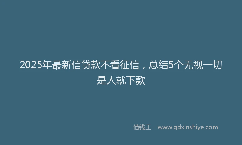 2025年最新信贷款不看征信，总结5个无视一切是人就下款