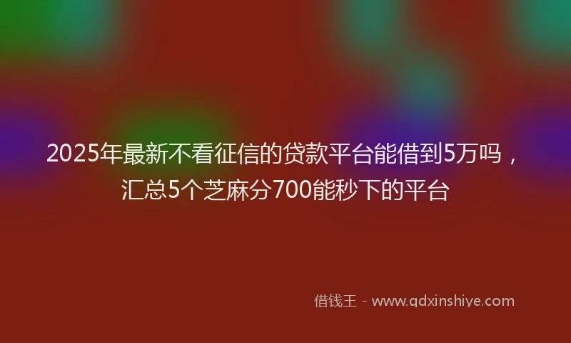 2025年最新不看征信的贷款平台能借到5万吗，汇总5个芝麻分700能秒下的平台