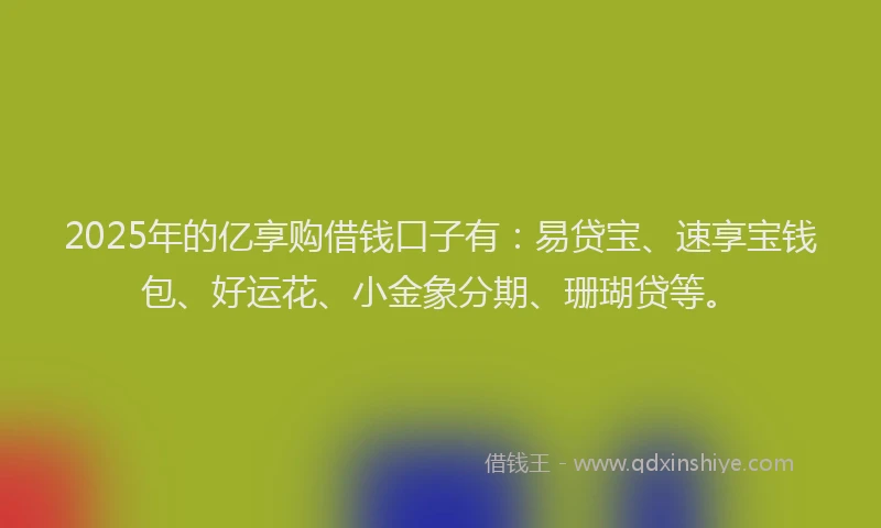 2025年的亿享购借钱口子有：易贷宝、速享宝钱包、好运花、小金象分期、珊瑚贷等。